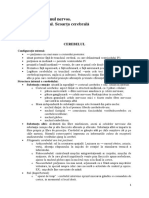 Tema 13 C13, LP13 PDF