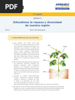 Recurso Ficha Difundimos La Riqueza Diversidad de Nuestra Region