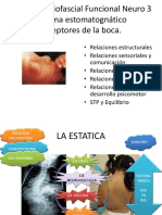 Copia de 3 AMF Postural Estomato PDF