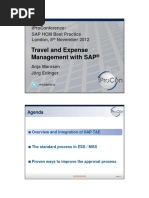 A4 Travel and Expenses Ins SAP HR PDF