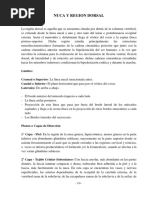 09 Nuca y Region Dorsal PDF