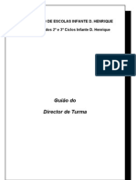 Guião Do Director de Turma Nov 2009