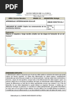 BIOLOGIA Guia 10 Grado PDF