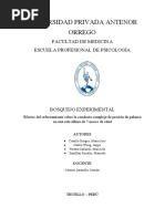 Bosquejo Experimental PDF