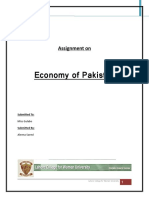 Economy of Pakistan: Assignment On