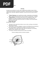 Fruto, Multiplicar y Percentil 3ero Euro