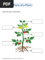 Label Plant PDF