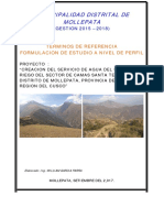 TDR PERFIL CAMAS-SANTA TERESA-Final2 PDF