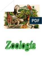 Tarea de Zoologia 2