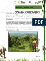 Plan de Mejoramiento Agroambiental (Aida Luz Navarro)