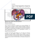 Relaciones Del Páncreas