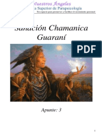 Sanacion Guarani Apunte III PDF