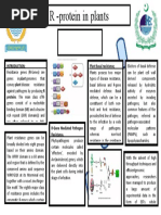 R - Protein in Plants-Poster Design