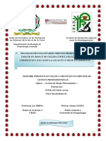 TMP - 32685 Memoire Licence Pro TOUKAM Ulrich Arsene1626048646