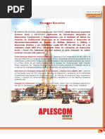 BROCHURE - INSPECCIÓN DE EQUIPOS DE PERFORACIÓN - Rev.0 - GRUPO APLESCOM PDF