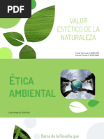 Valor Estetico de La Naturaleza PDF