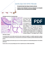 2 Vía Respiratoria Baja DAD EPOC Fibrosi