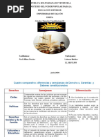 Cuadro Comparativo. Suleima