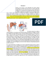 Cirrosis 1 y 2 Completa