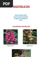 Digitálicos 2017