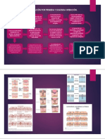 Cicatrización Por Primera y Segunda Intención PDF