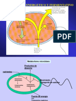 Metabolismo 2014 I