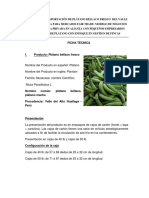 Ficha Técnica - Plantain, Plátano Macho para Denis PDF