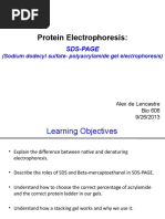 Bio606-Lab 5-SDS-PAGE