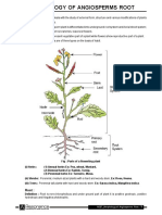 PLANT MORPHOLOGY Notes