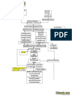 Benign Prostatic Hyperplasia - BPH - Pathophysiology - Schematic Diagram