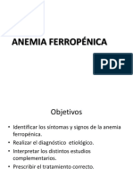 Anemia Ferrope Nica