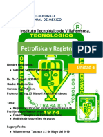 Registros de Pozos