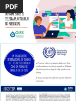 Informe Sobre El Teletrabajotrabajo No Presencial