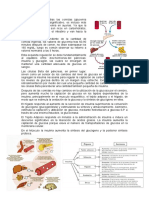 Glucosa Postprandial