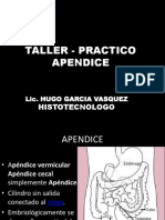 Clase de Macroscopia Apendice