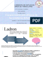 Características Psicológicas de Las Conductas Delictivas, Lidia Rosas.