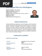 HV Ing Luis Herrera PDF