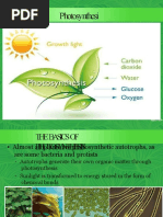 Photosynthesis