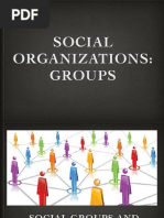 Social Organization Groups PDF