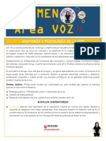 Voz Resumen PDF