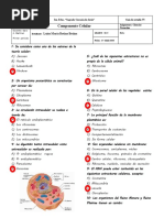 Cuestionario Sobre La Célula Listo para Entregar