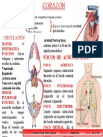 CORAZON-cuadro Sinoptico