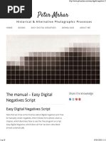 Easy Digital Negatives - Peter Mrhar