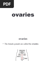 Ovaries