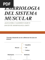 Embriología Muscular