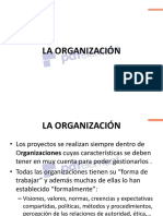 La Organización PDF