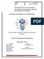 Sistema Cardiovascular Informe Incompleto