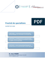 PLR2305 Practica de Specialitate (Curs Nou Revizuit)