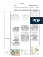 Tarea 4