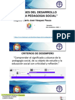 Fases Del Desarrollo de La PS y Concepciones Mario Vaquez PDF